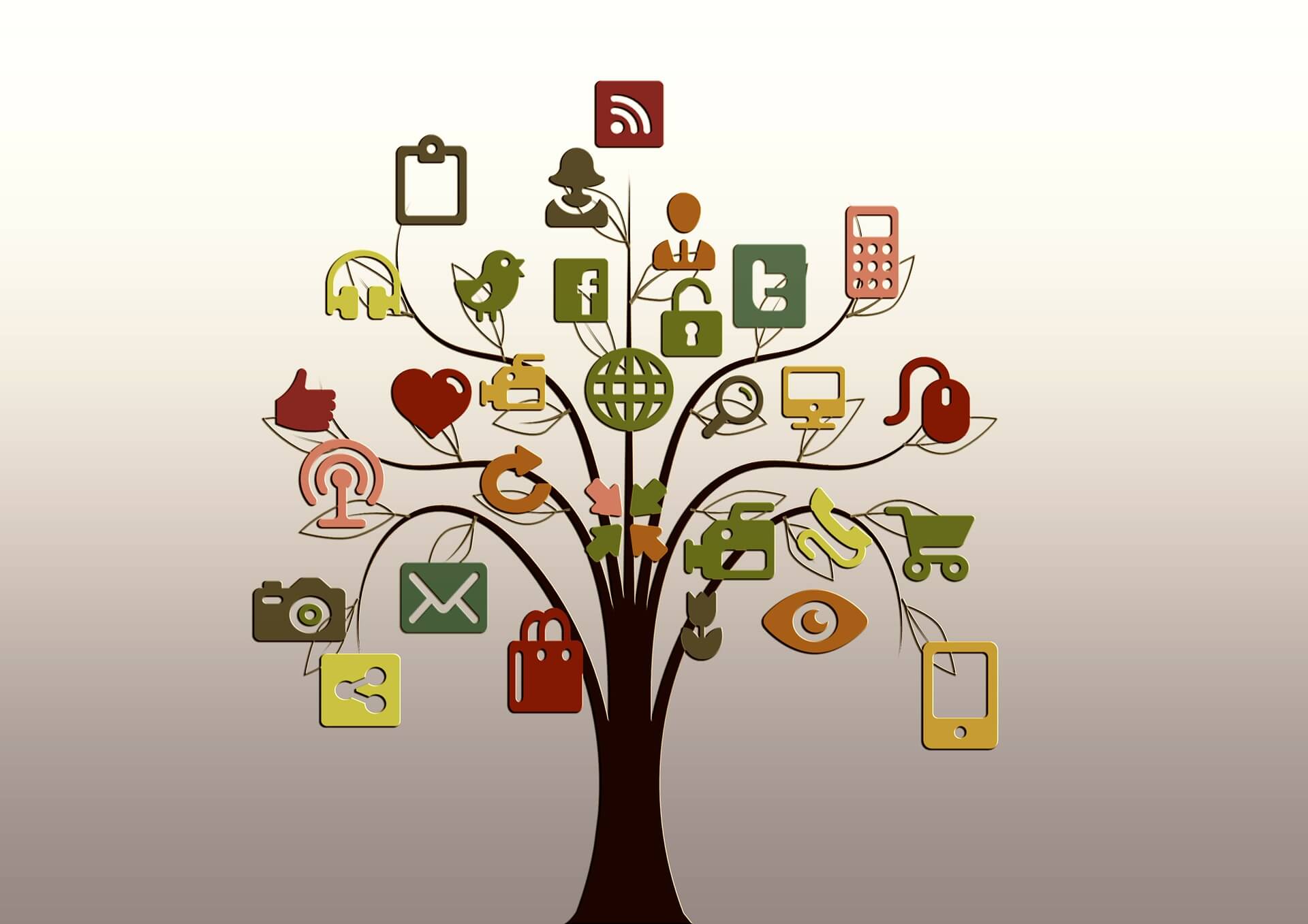 What Are the Major Roles of Social Media in Knowledge Creation?