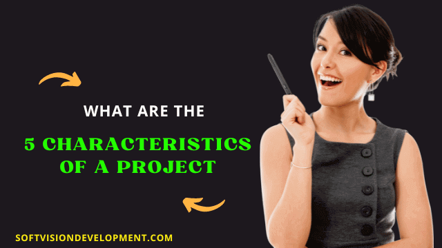 What Are the 5 Characteristics of a Project?