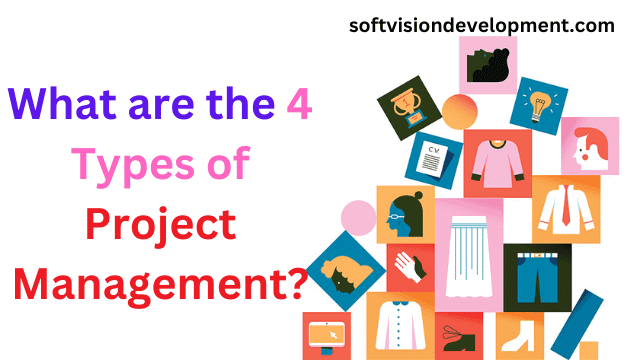 What are the 4 Types of Project Management?